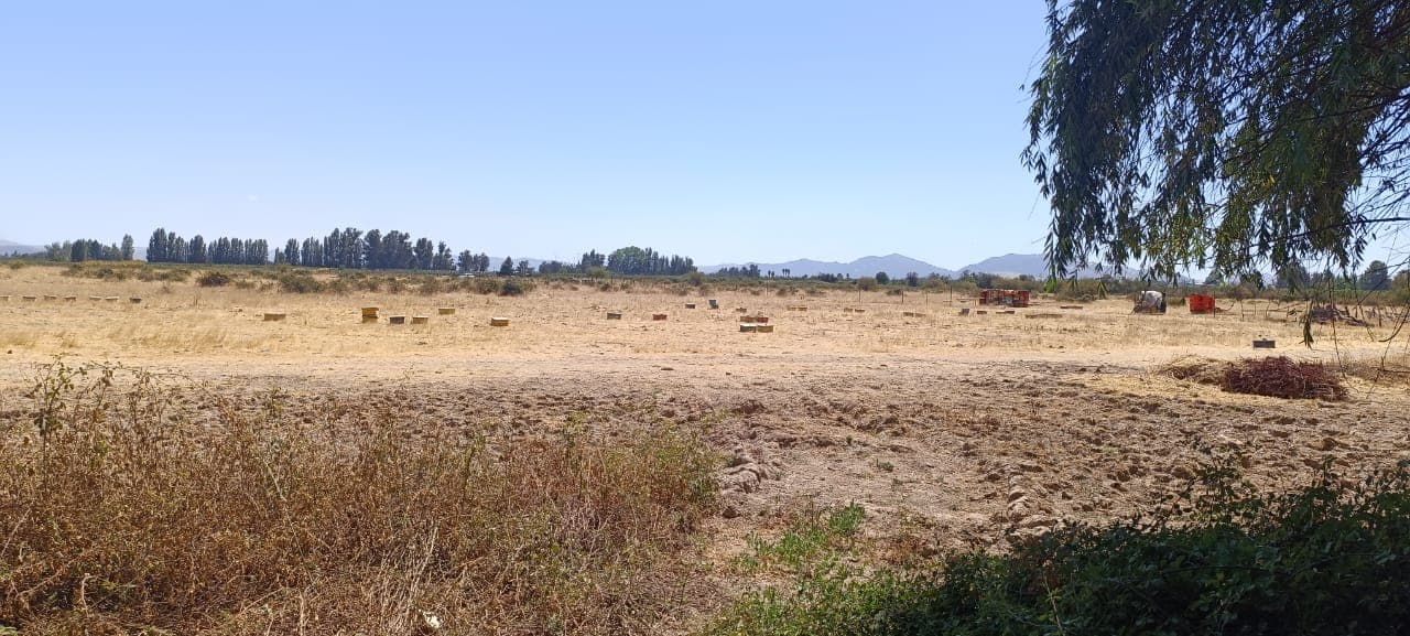 Parcela 5.000m2, Sarmiento, Curico 2